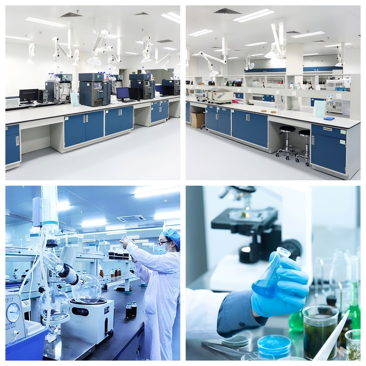 中藥新藥委托研發(fā)服務(wù) 中藥新藥委托研發(fā)服務(wù)